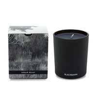 BLACKBARN Candle - Cedar Point