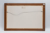 Landscape Photograph by John Pfahl