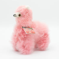 Small Llama - Pink