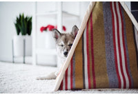 Horizon Pet Teepee - Woodland