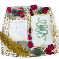 Cepheus & the Snake Gift Box