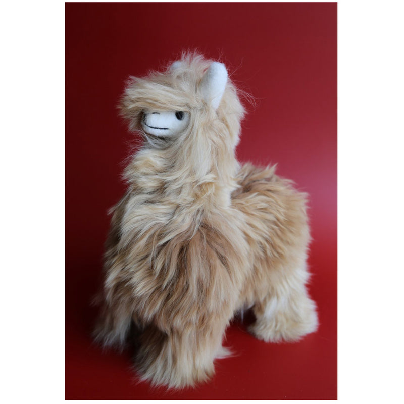 Medium Alpaca - Brown