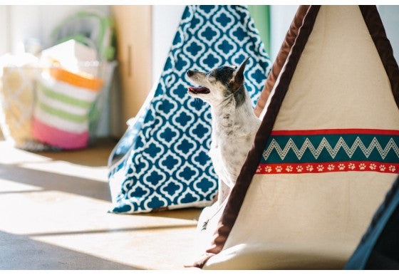 Horizon Pet Teepee - Desert